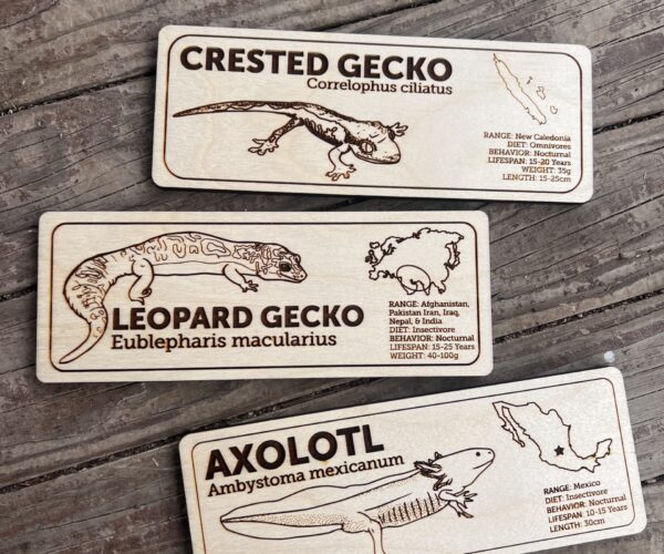 20CT Wholesale Laser-Engraved Species Signs (One Species per 5ct)