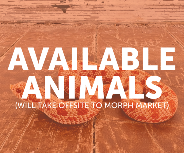 Available Animals