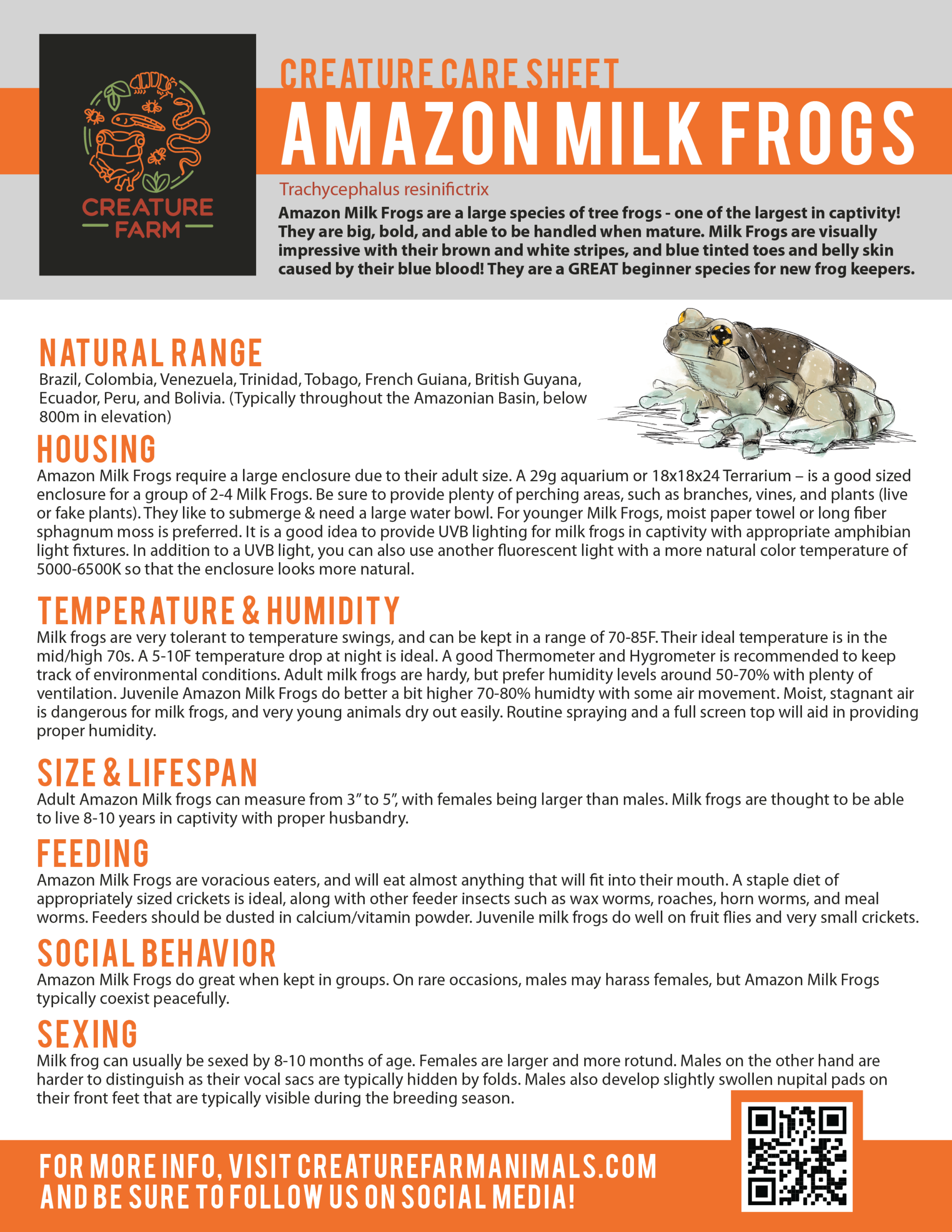 milkfrog-caresheets-01
