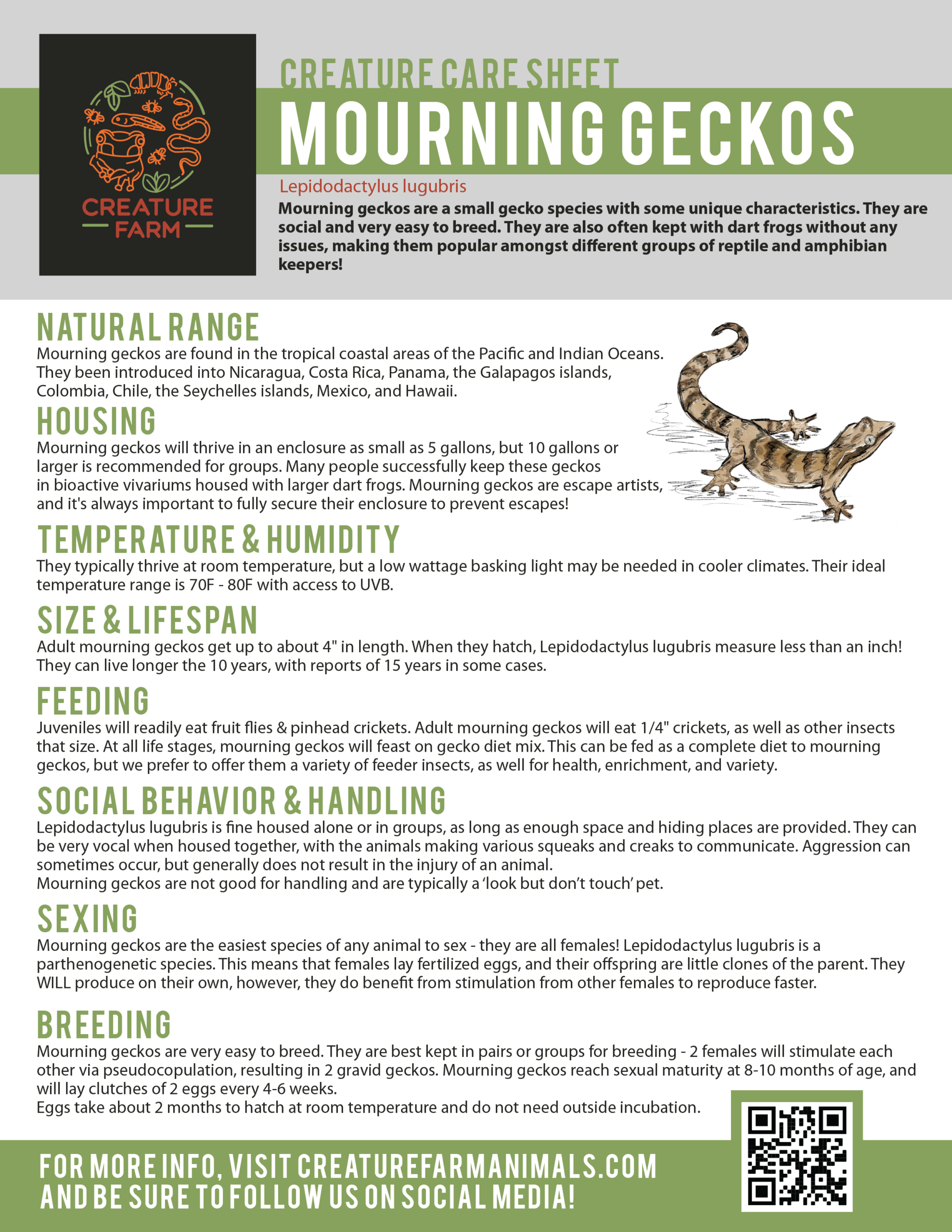 mourninggecko-caresheets-01