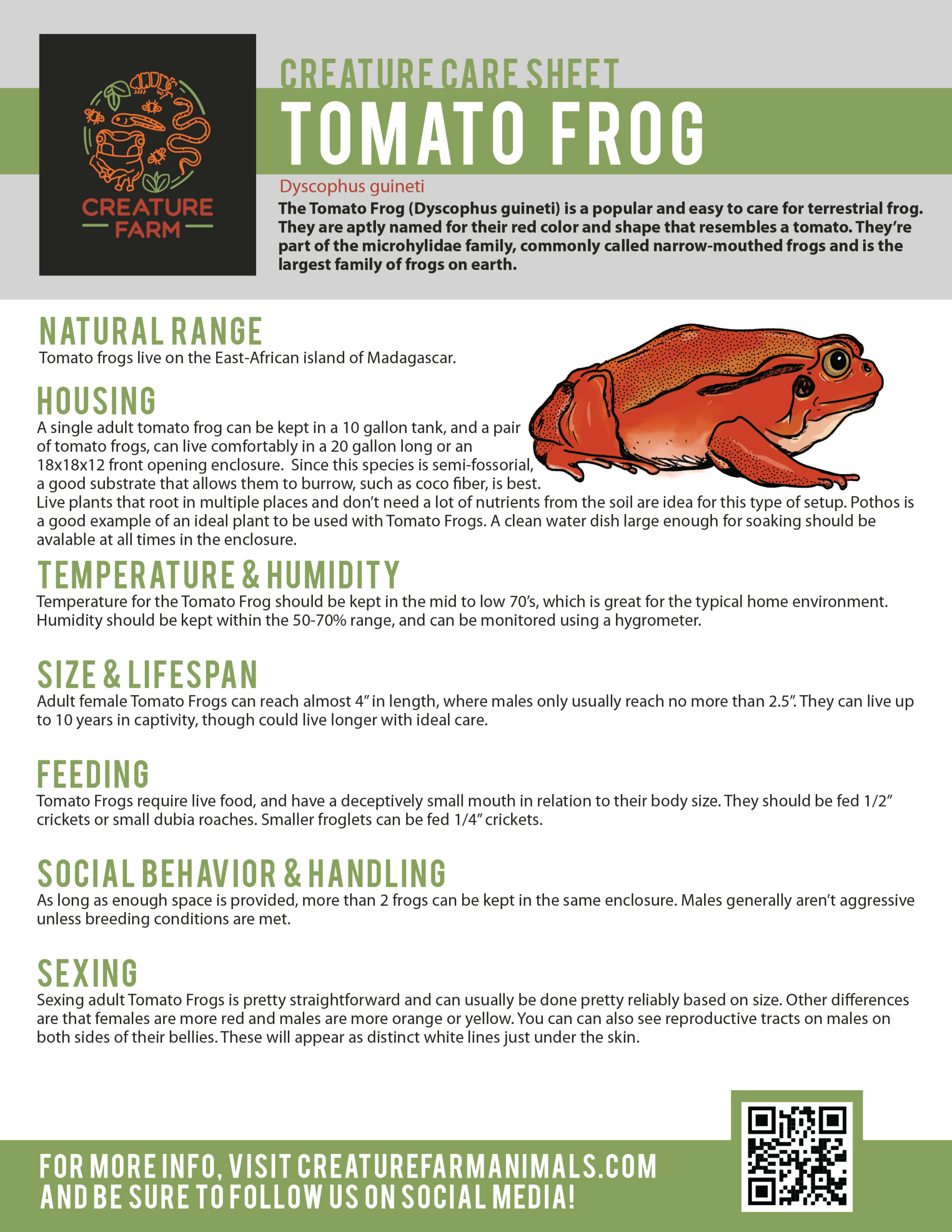 tomatofrog-caresheets-01