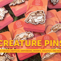 Wooden Creature Pins