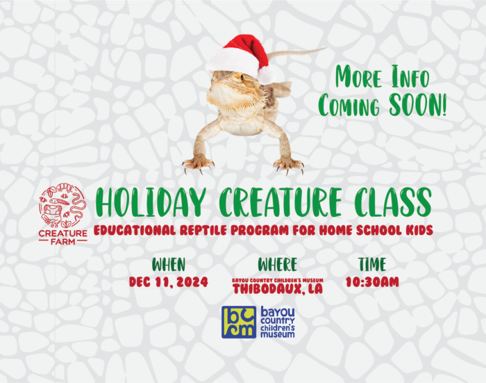 Creature Classes at BCCM | October and December 2024