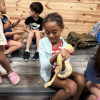 Homeschool Creature Classes - Image 11