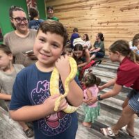 Homeschool Creature Classes - Image 6