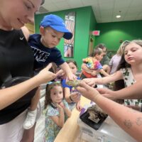 Homeschool Creature Classes - Image 5