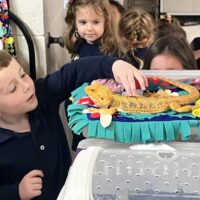 Homeschool Creature Classes - Image 18