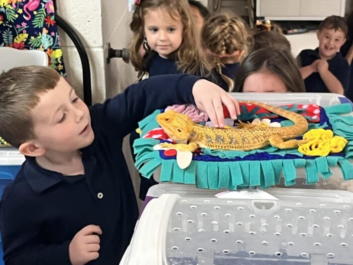 Homeschool Creature Classes - Image 18
