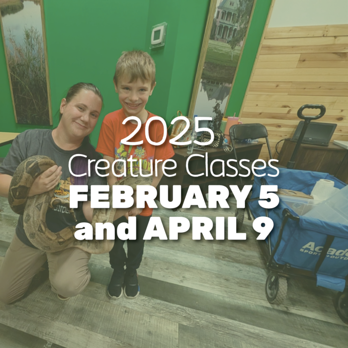 Homeschool Creature Classes